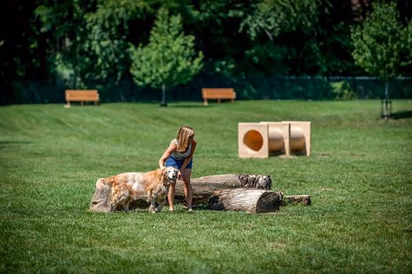 Columbia Doggie Park photo 1